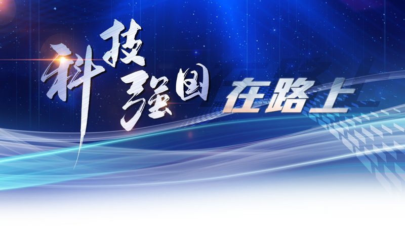 成都软件测试公司招聘要求揭秘：技能与素质双重要